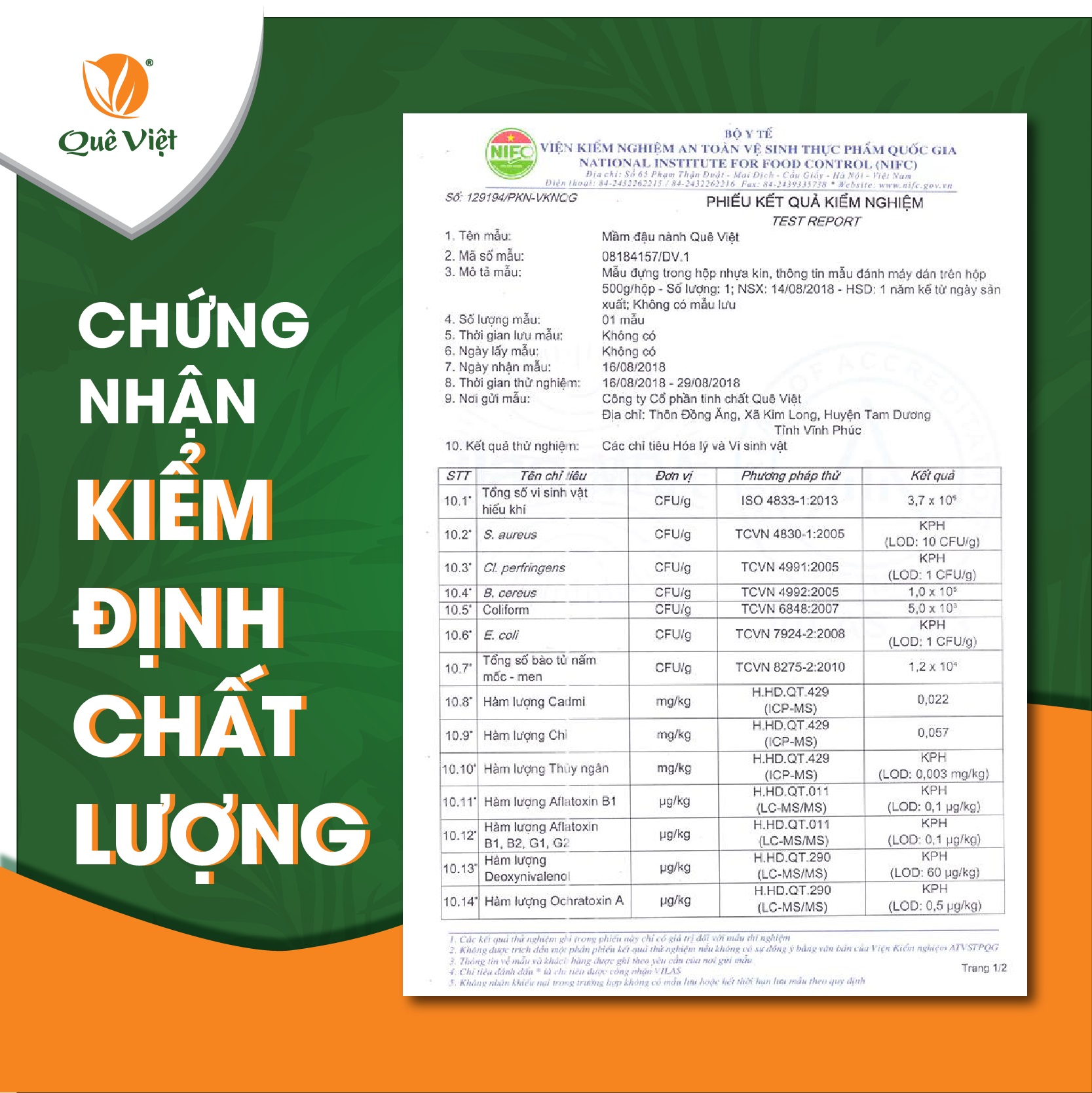 Mầm đậu nành nguyên xơ Quê Việt tăng vòng 1, cải thiện nội tiết tố phụ nữ (2 Hộp x 500Gr)