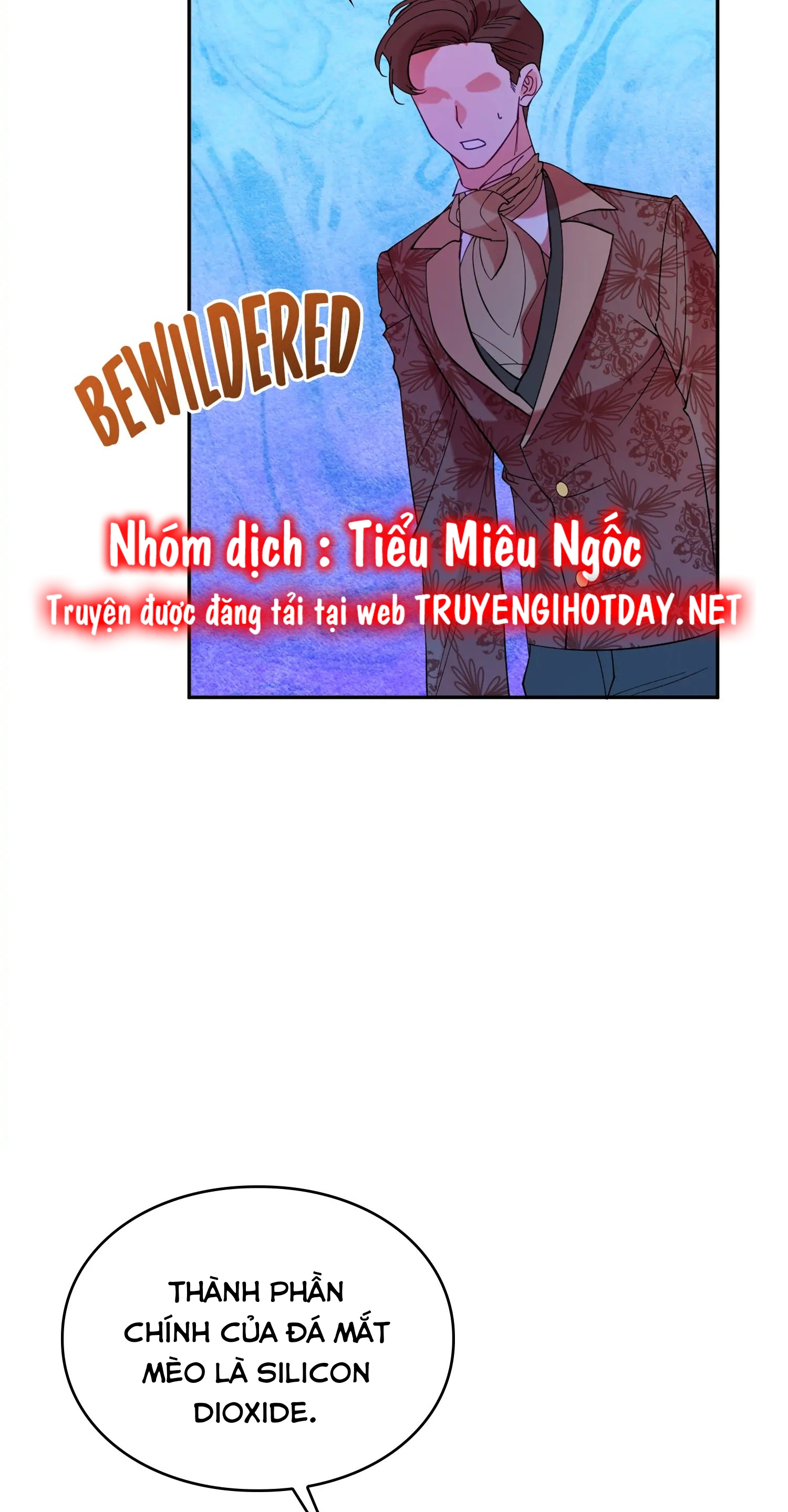 câu chuyện về nữ công tước chapter 11 29