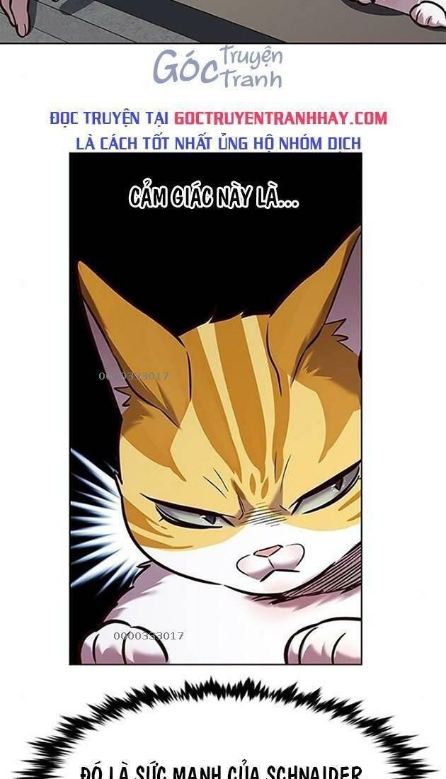 biến thân thành mèo chapter 220 3