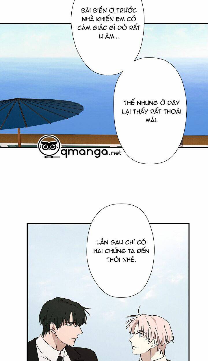 trốn tìm chapter 24 13