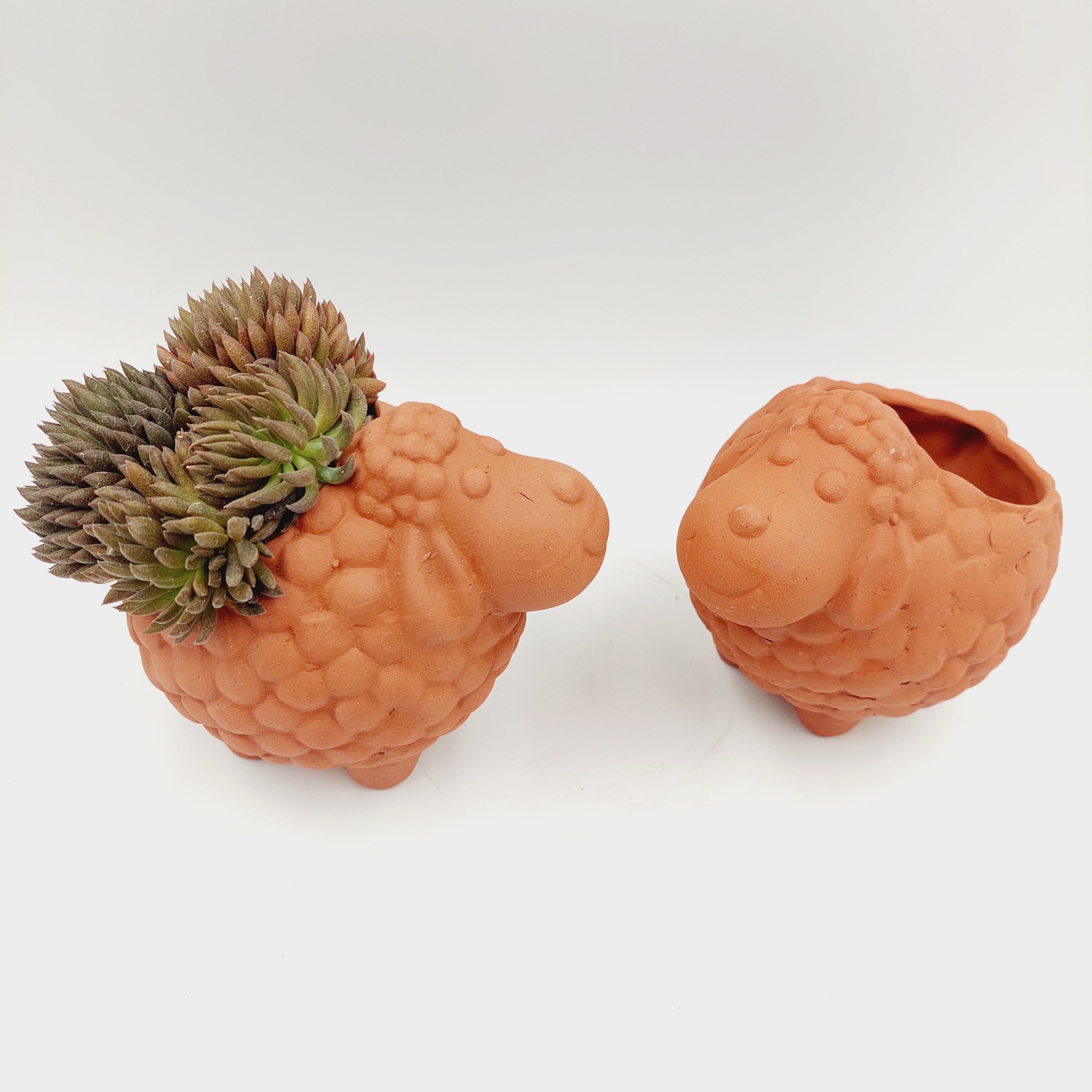 Chậu đất nung, chậu sen đá - Cừu nhi đồng, miệng chậu 7cm, chiều cao 12cm