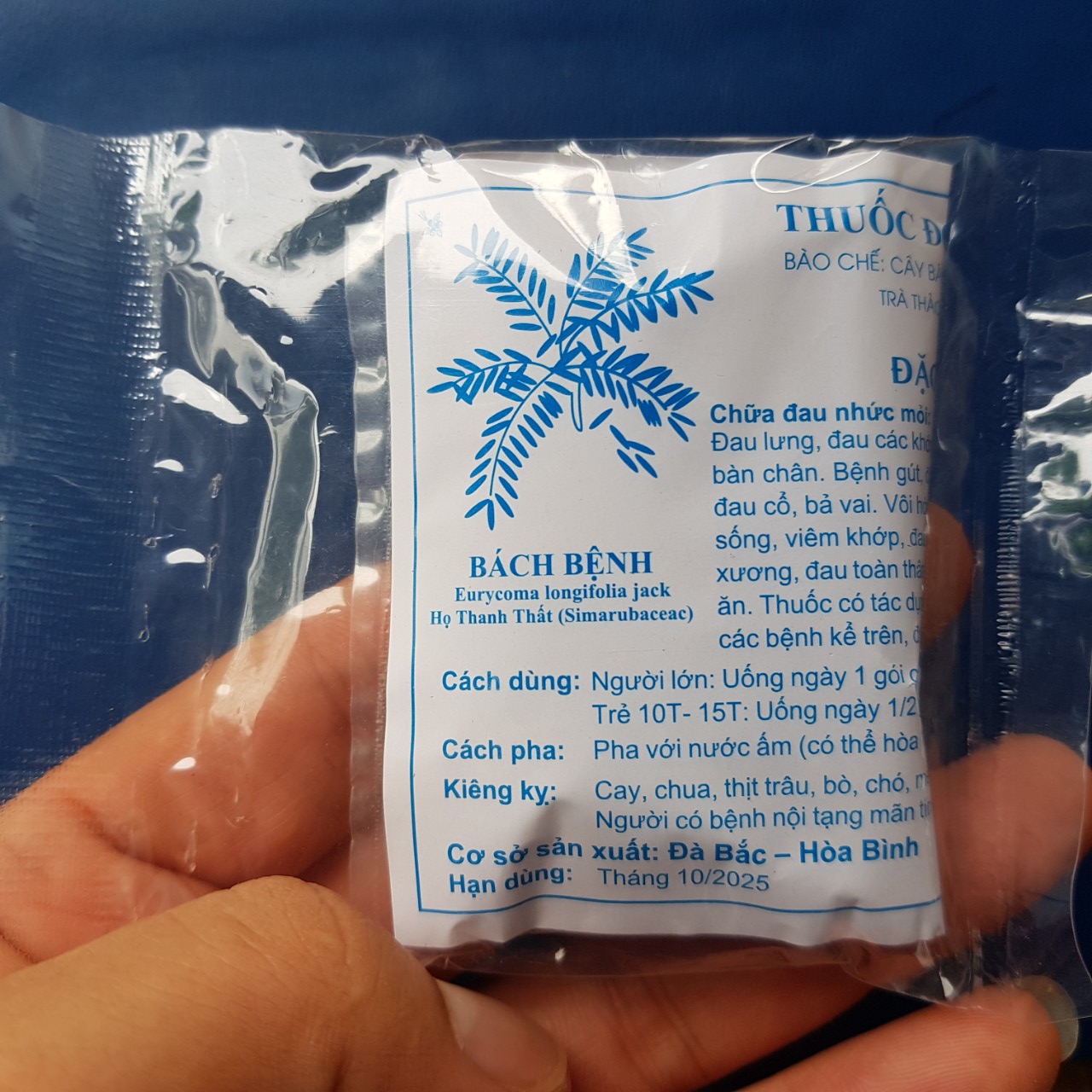 Combo 25 gói đông y gia truyền cây bách bệnh họ thanh thất đau lưng xương khớp gút thoái hóa thoát vị đĩa đệm