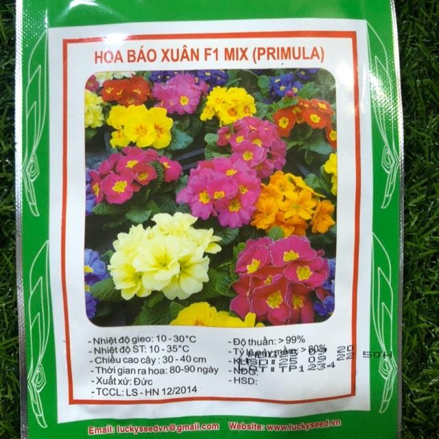 HẠT GIỐNG HOA BÁO XUÂN F1 MIX