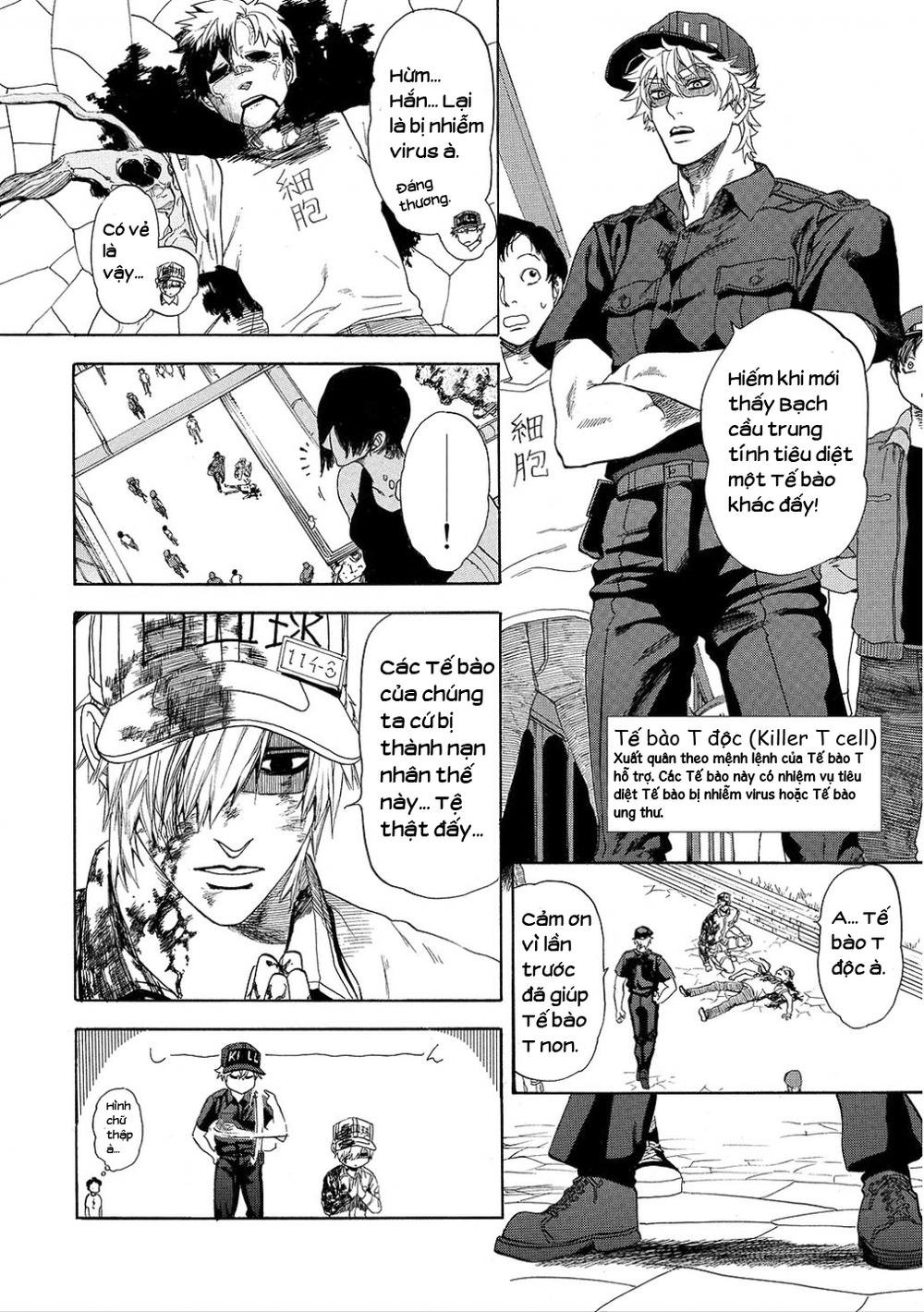 hataraku saibou! chapter 8 5