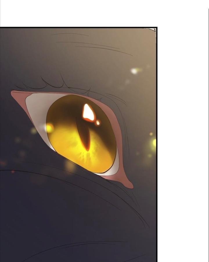 truyện cổ tích trong lòng mèo chapter 0 101