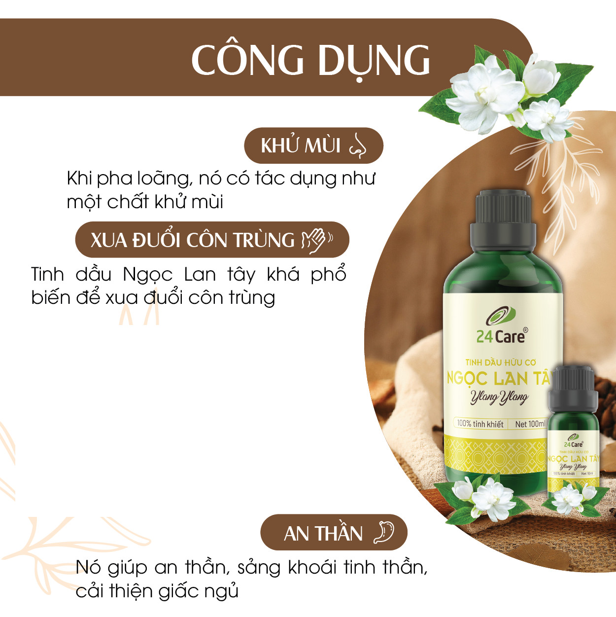 Tinh dầu Ngọc Lan Tây 24Care 10ML - Chiết xuất thiên nhiên, thanh lọc không khí, tập trung tinh thần, cải thiện tâm trạng.