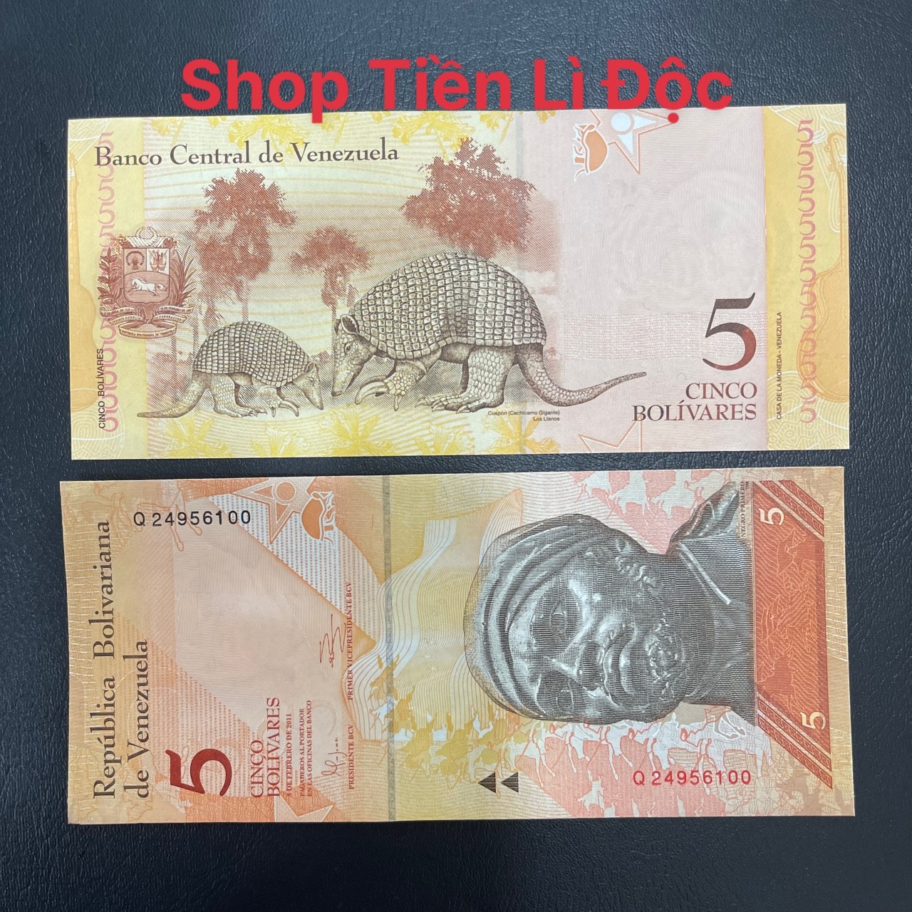 Tờ Tiền Venezuela 5 Bolivares Mới 100% , Thích Hợp Sưu Tầm, Lì Xì, Biếu Tặng