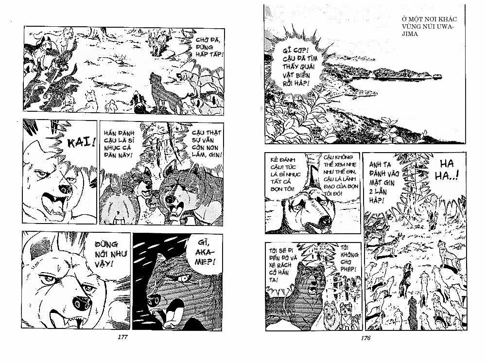 chú chó có nghĩa - ginga nagareboshi gin chapter 28 27