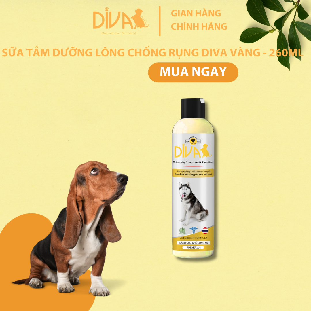 SỮA TẮM DƯỠNG LÔNG GIẢM RỤNG DIVA VÀNG 260ML