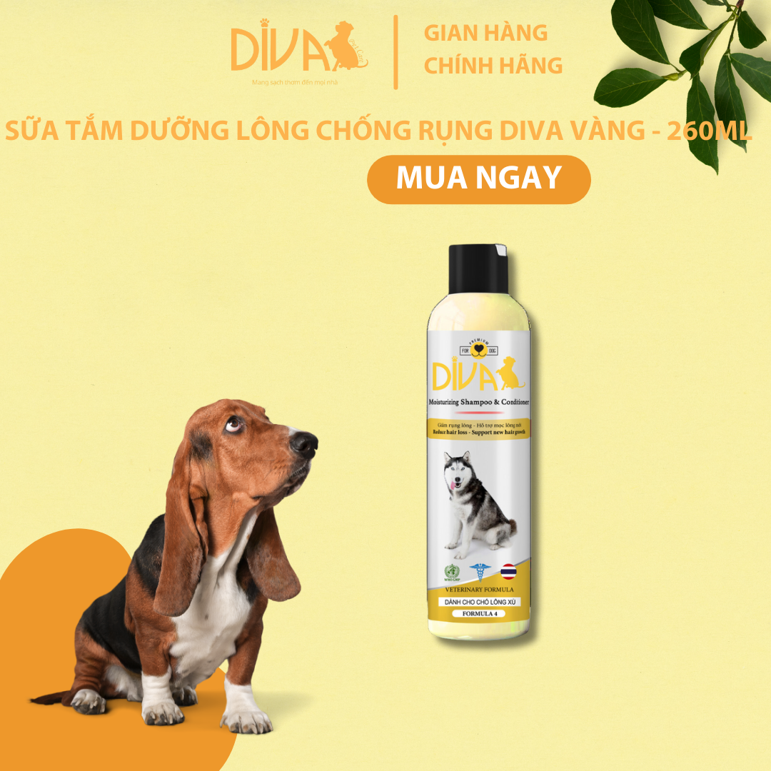 SỮA TẮM DƯỠNG LÔNG GIẢM RỤNG DIVA VÀNG 260ML (DIVA FORMULA 4)