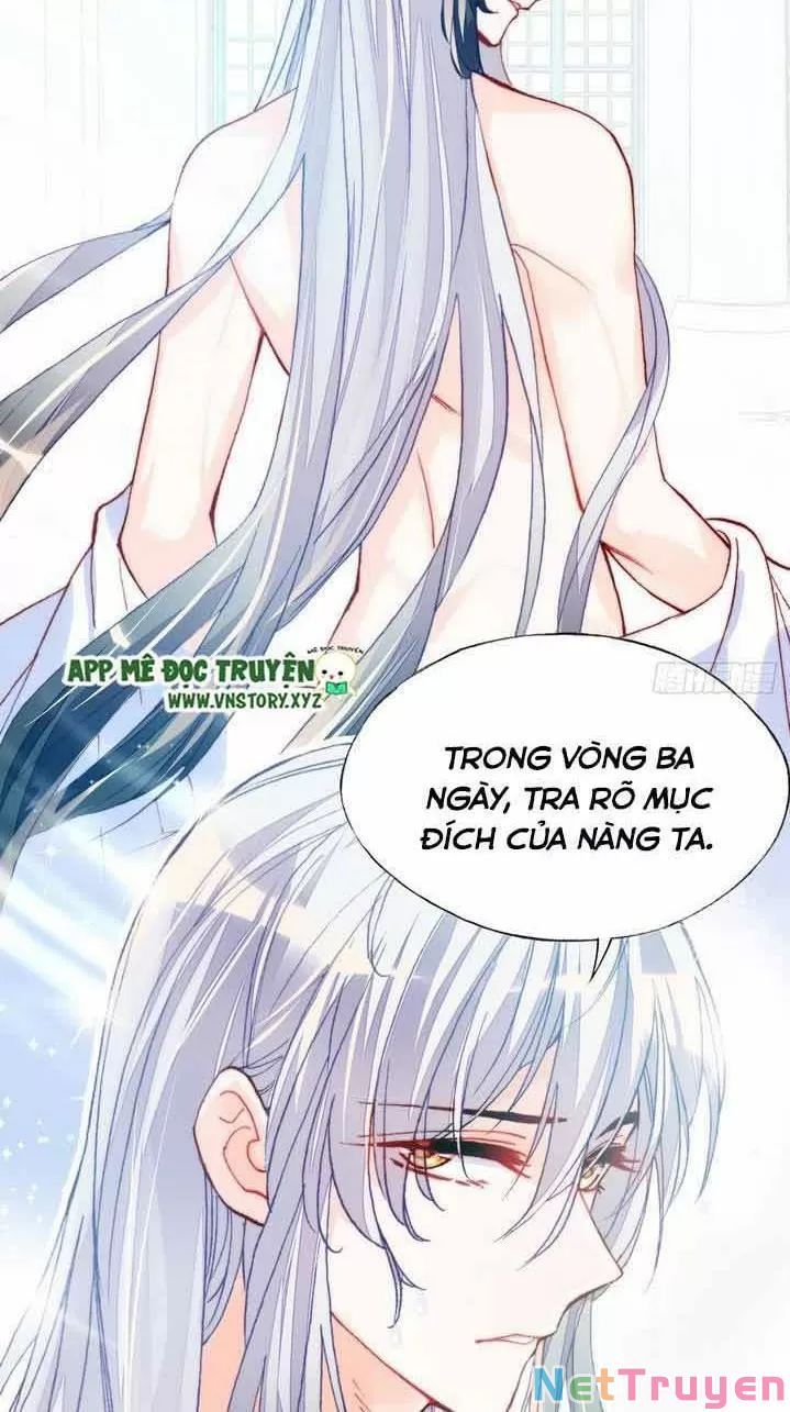 lại bị bệnh chiều chuộng quấn lấy chapter 6 60