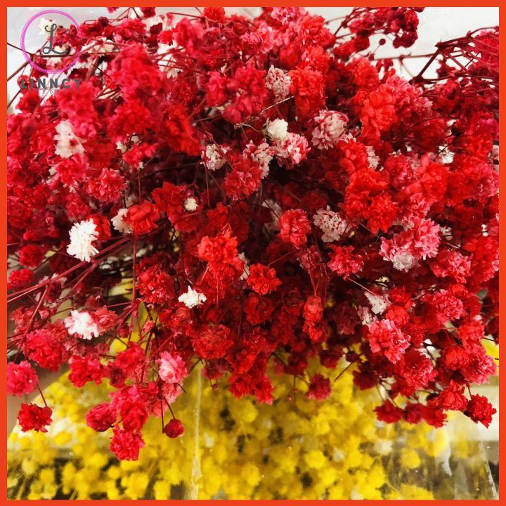 Hoa giả, hoa baby khô bó 60gr, 120gr