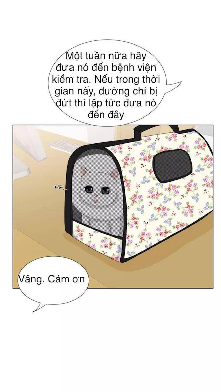 idol và sếp, em yêu ai? chapter 22 13