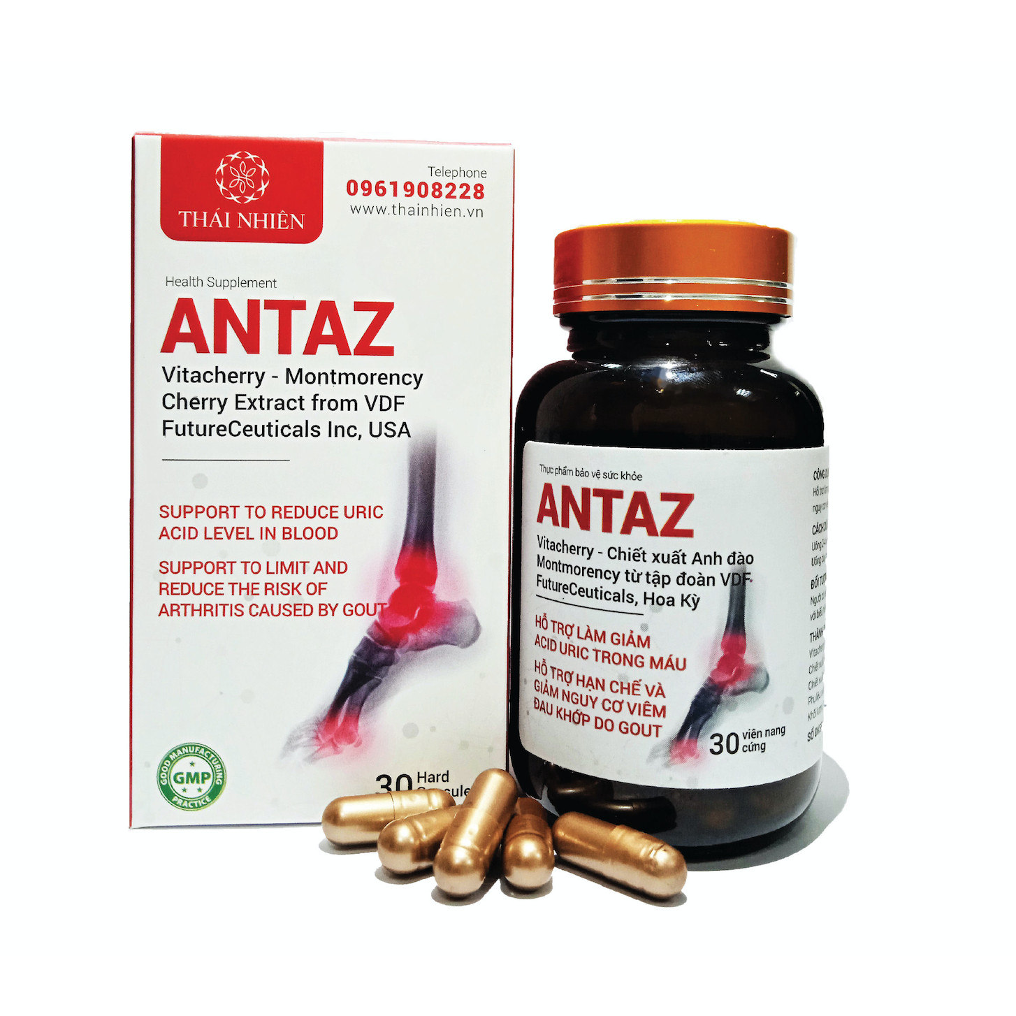 ANTAZ - Hỗ trợ hạ acid uric trong máu, ngăn gout tái phát