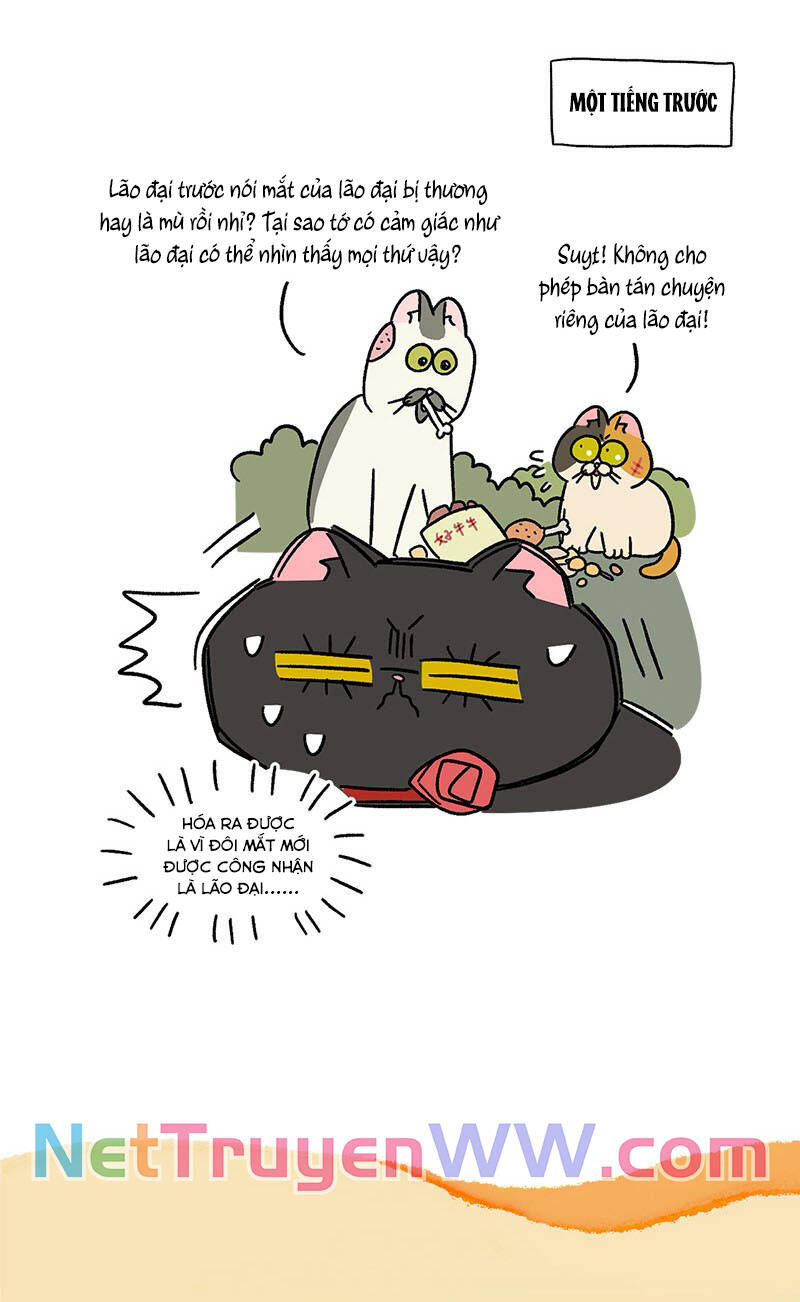 a mãn và mạch trà chapter 41 7