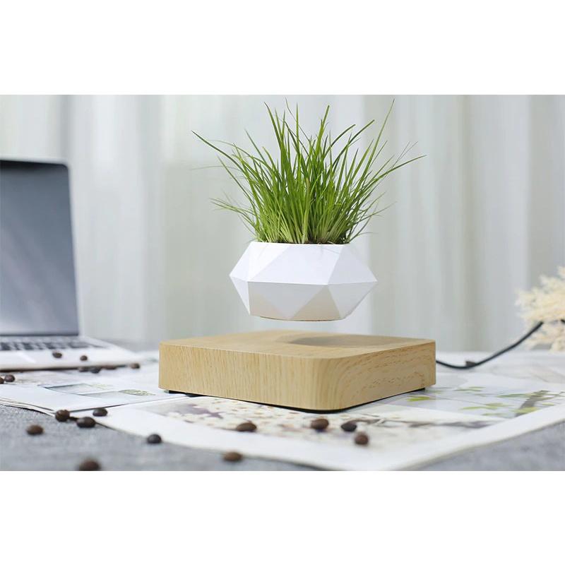 Chậu cây bay trang trí từ tính BonSai Bay Zero W Design