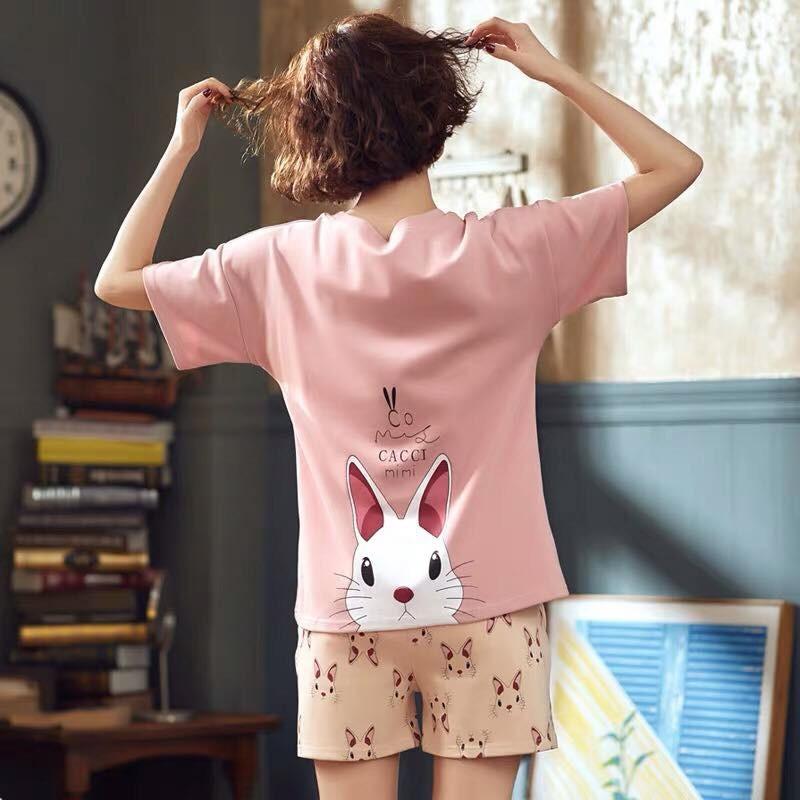 SÉT BỘ THUN NGƯỜI LỚN CON THỎ