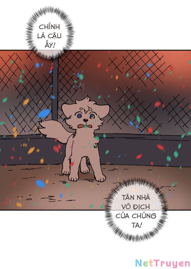 lumine - cội nguồn ánh sáng chapter 113 51