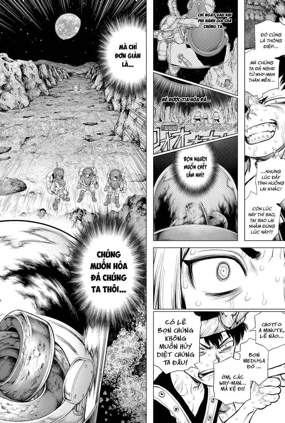 dr.stone - hồi sinh thế giới chapter 228 12