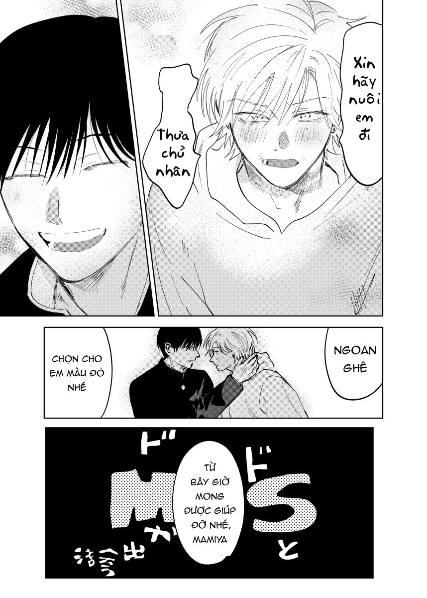 s và m gặp nhau chapter 6 29