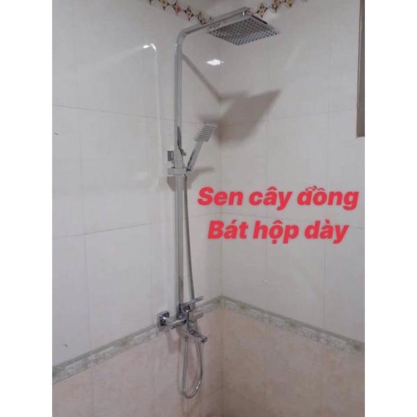 Sen cây kb2052.Sen cây nhà tắm