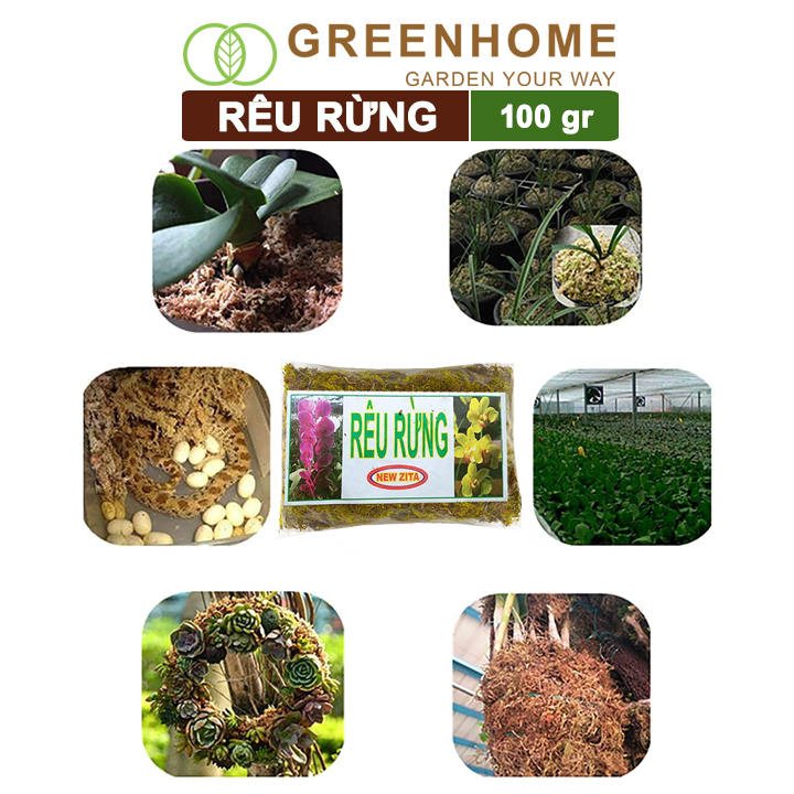 Rêu rừng Greenhome, Newzita, Gói 100gr, Đã Qua Xử Lý, Giá Thể, Giữ Ẩm Tốt, Kháng Khuẩn Tự Nhiên, Trồng Lan, Kiểng Lá