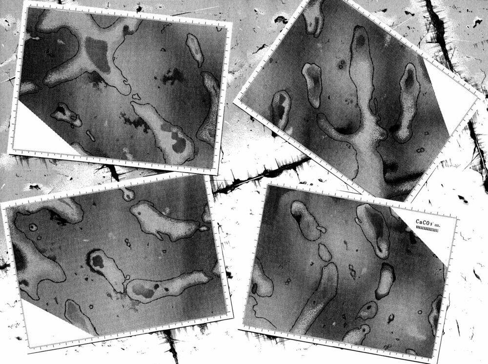 c.m.b. chapter 7.3 31