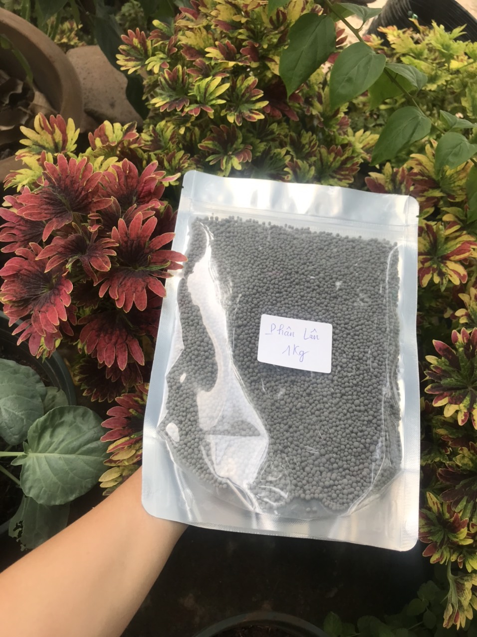 Phân lân gói 1kg - Super Lân Canxi - thần dược cho cây trồng