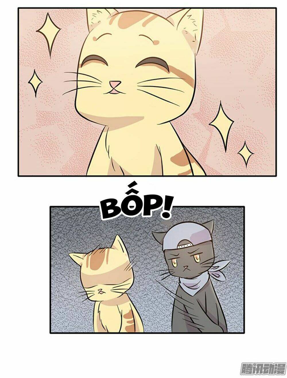 hai chú mèo totem chapter 15 17