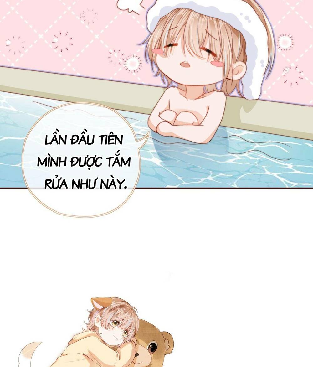 nam chính và nhân vật phản diện tôi nuôi đều không đứng đắn chapter 4 52