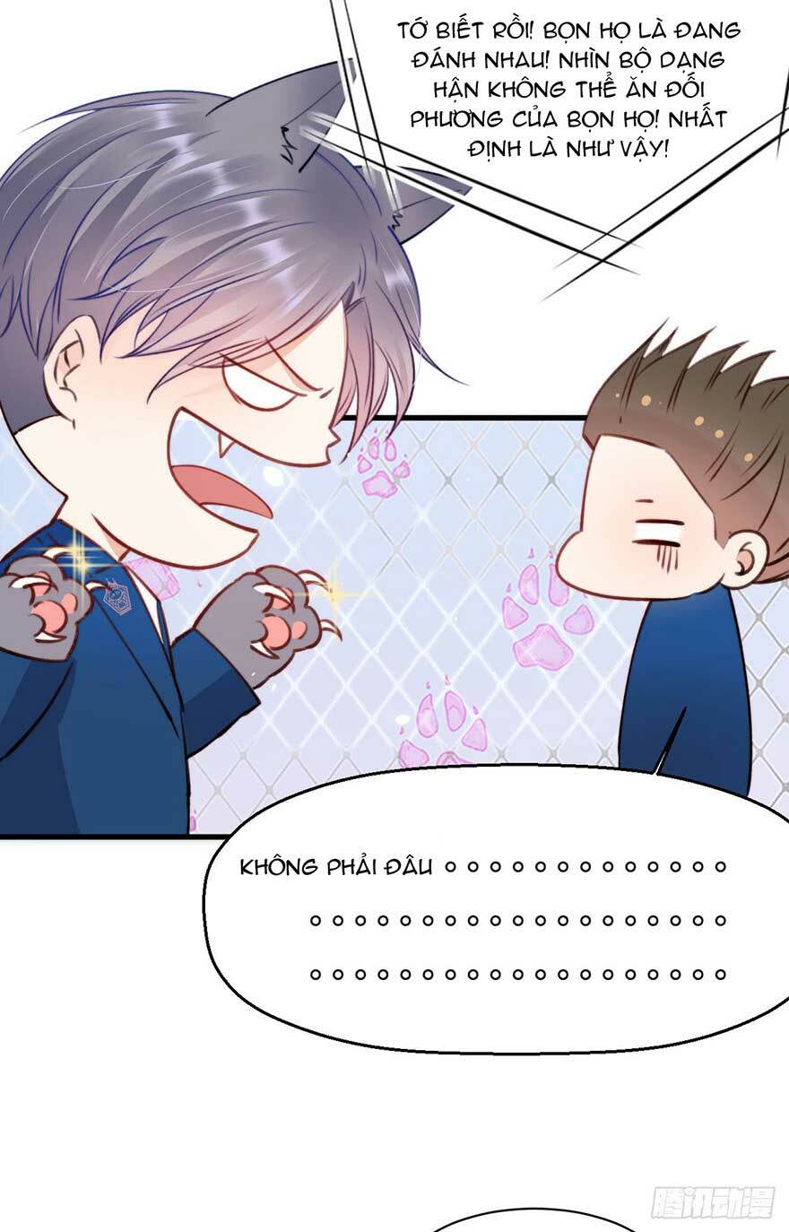 triều tây, in or out chapter 13 40