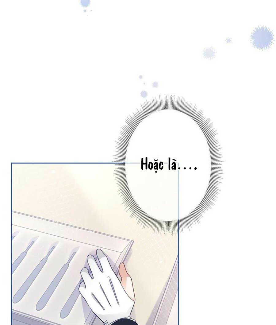 đế quốc đầu tiên có nữ hoàng chapter 39 3