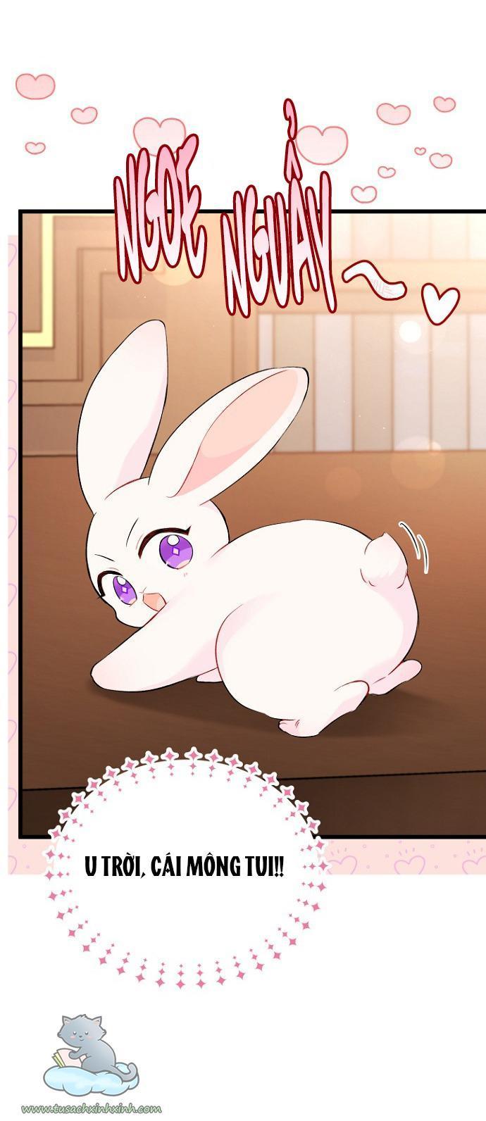 quan hệ cộng sinh giữa báo đen và thỏ trắng chapter 47 50