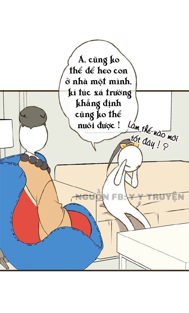 trên trời rớt xuống một hòa thượng ngốc chapter 21 16