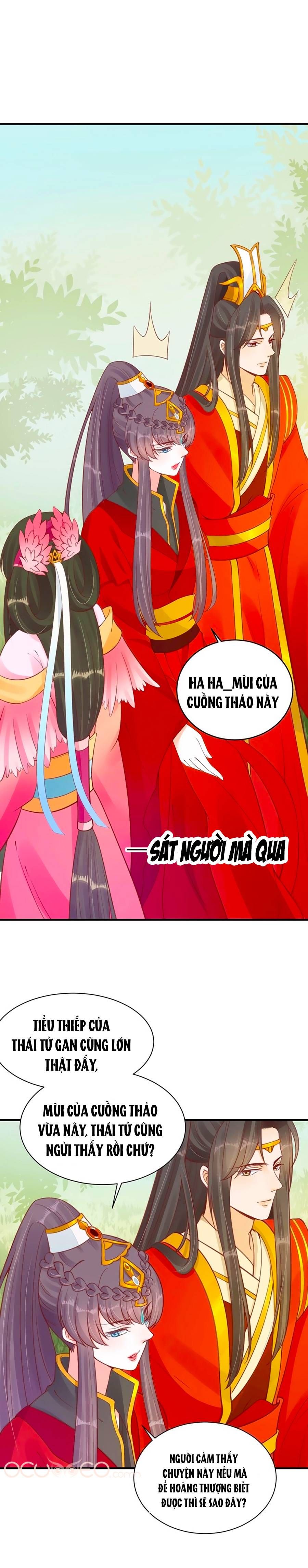 thịnh thế lê hoa điện chapter 33 14