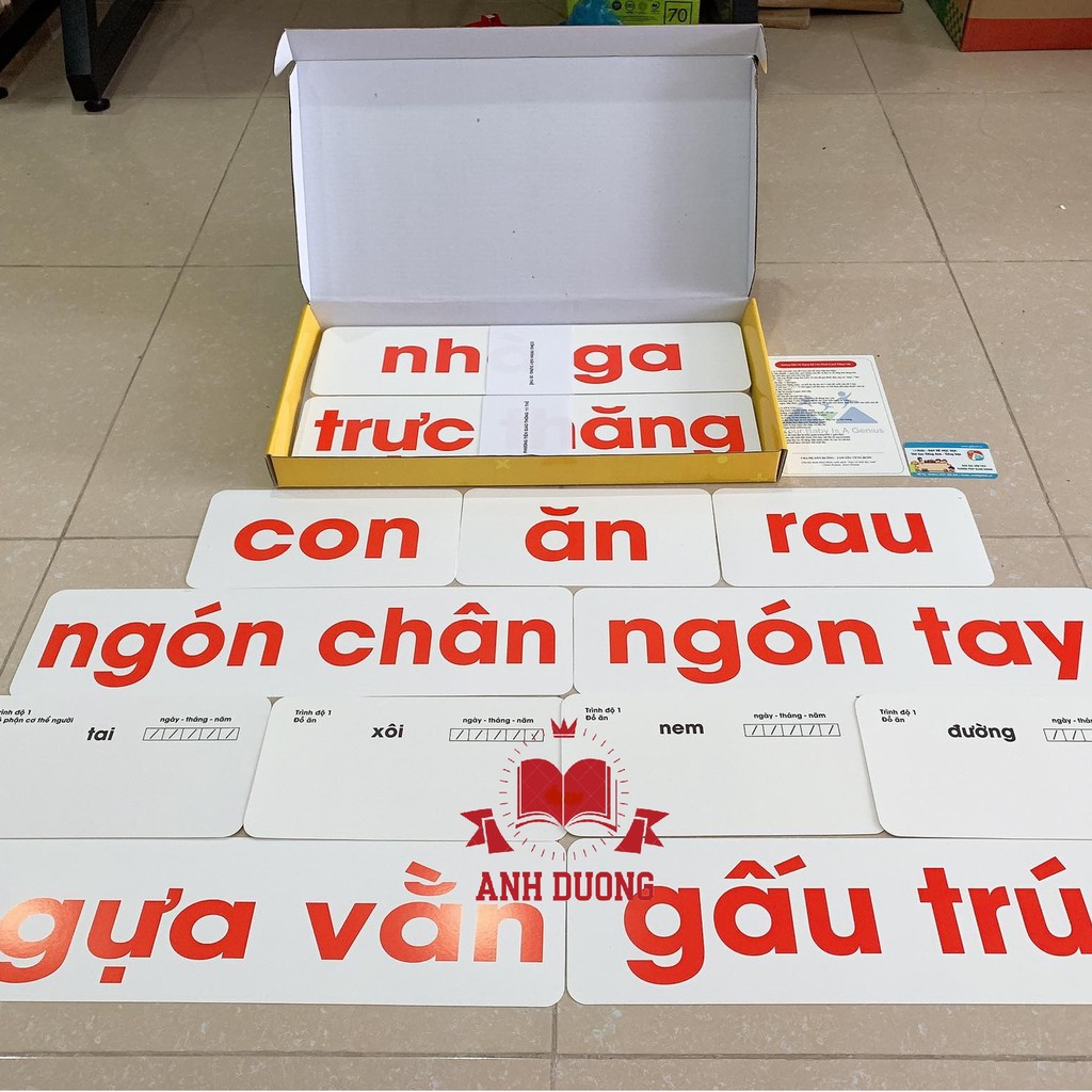 Thẻ Học Flashcard Glenn Doman Chuẩn Cho Bé - Bộ 300 Thẻ Tiếng Việt