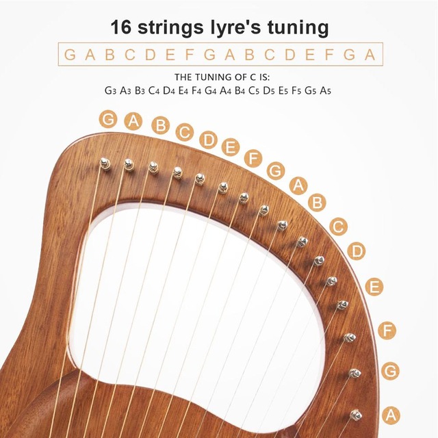 Đàn Lyre 16 dây đàn hạc Lyre Harp IM0001258-MOLIN Đầy đủ phụ kiện LOẠI 16 DÂY Nguyên khối tặng đàn kalimba 17 phím gỗ nguyên khối Mahagony PJLIM72