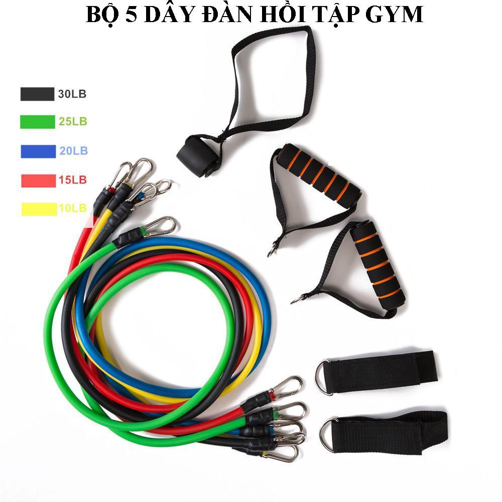 Dụng cụ tập gym, Dây đàn hồi tập gym, Bộ 5 dây đàn hồi tập thể hình gọn nhẹ, có tính đàn hồi cao, bền, an toàn