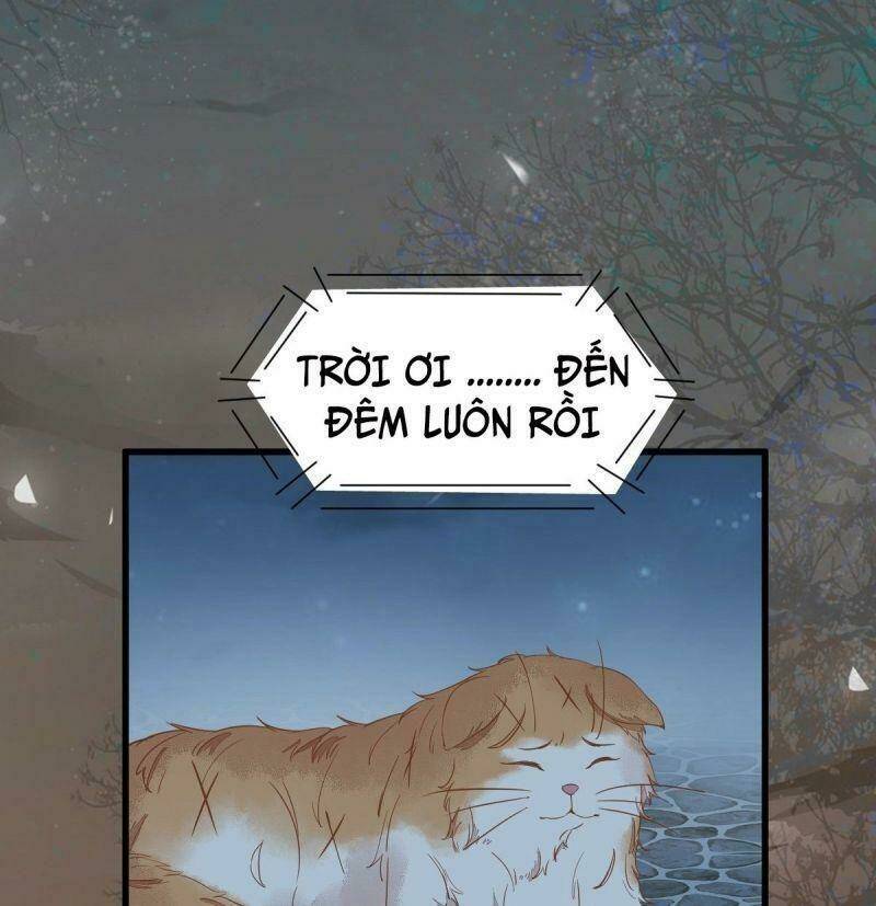 sát thủ vương phi không dễ chọc chapter 37 31