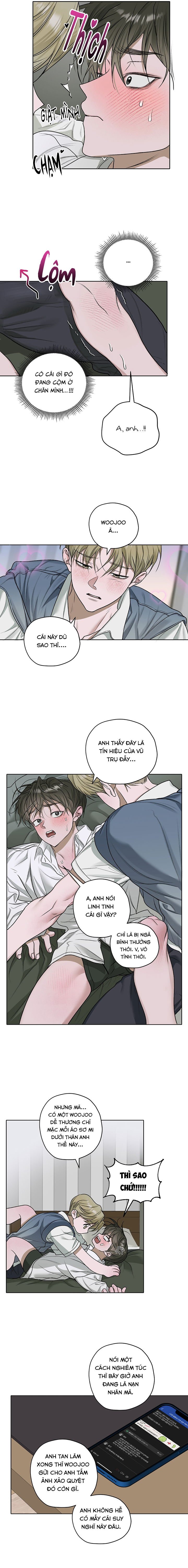 đoá hoa trên mặt hồ chapter 33 7