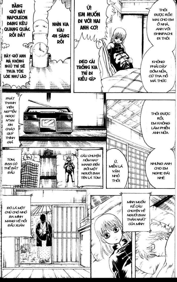 gintama - linh hồn bạc chapter 237 11