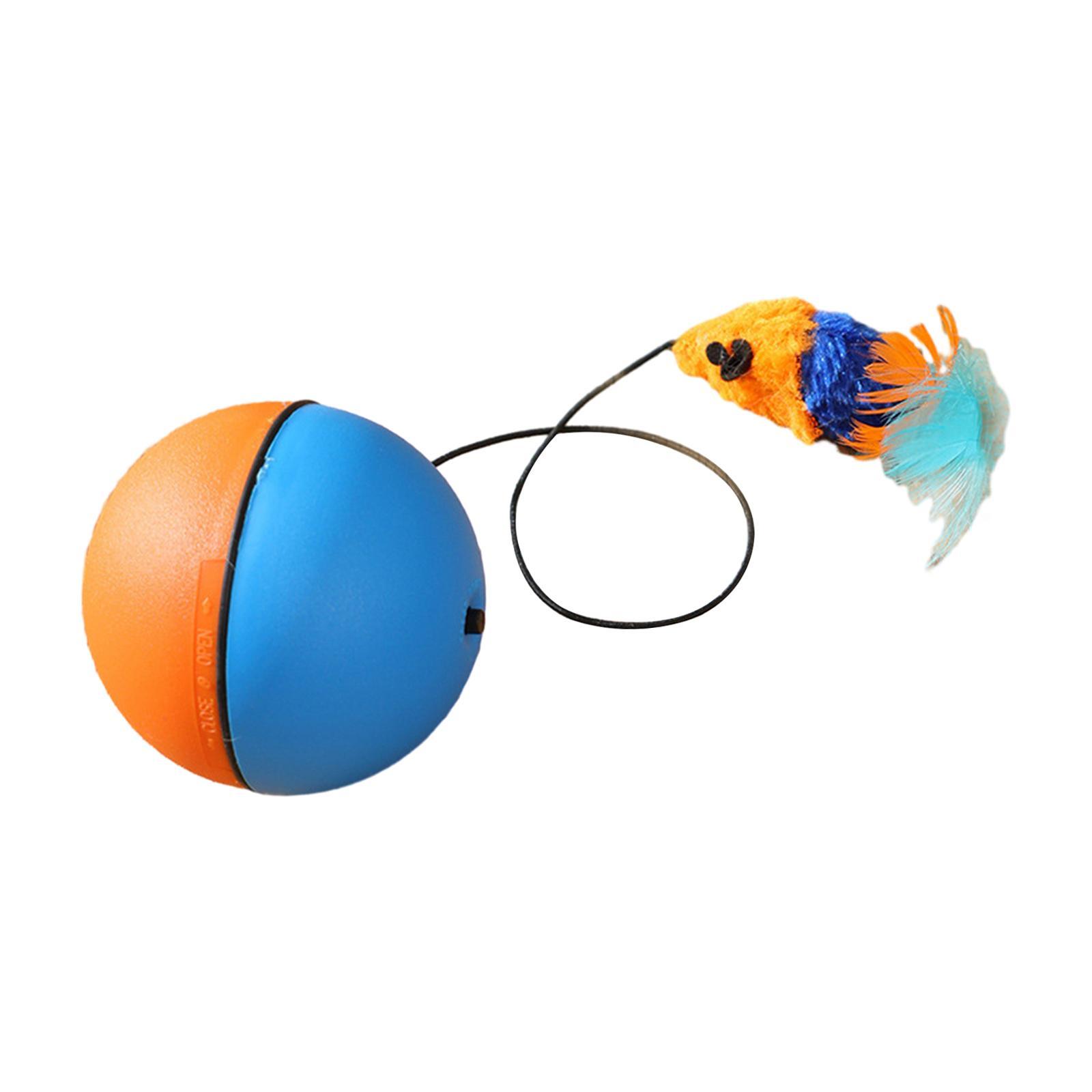 Interactive Cat Toys Ball Teaser Toys Ball Cat Toys for Kitty Chasing