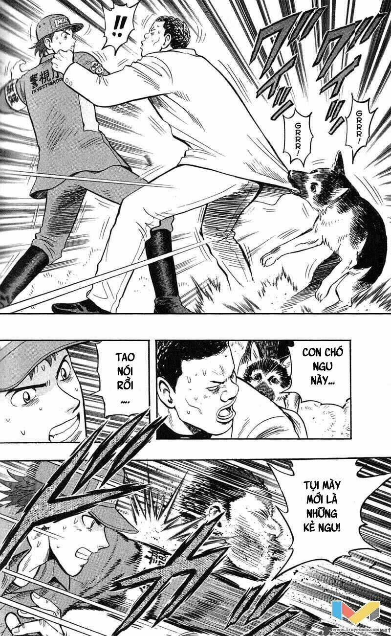 animal sense chapter 13 6