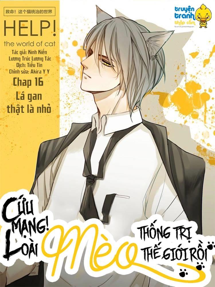 cứu mạng ! loài mèo thống trị thế giới rồi ! chapter 16 1