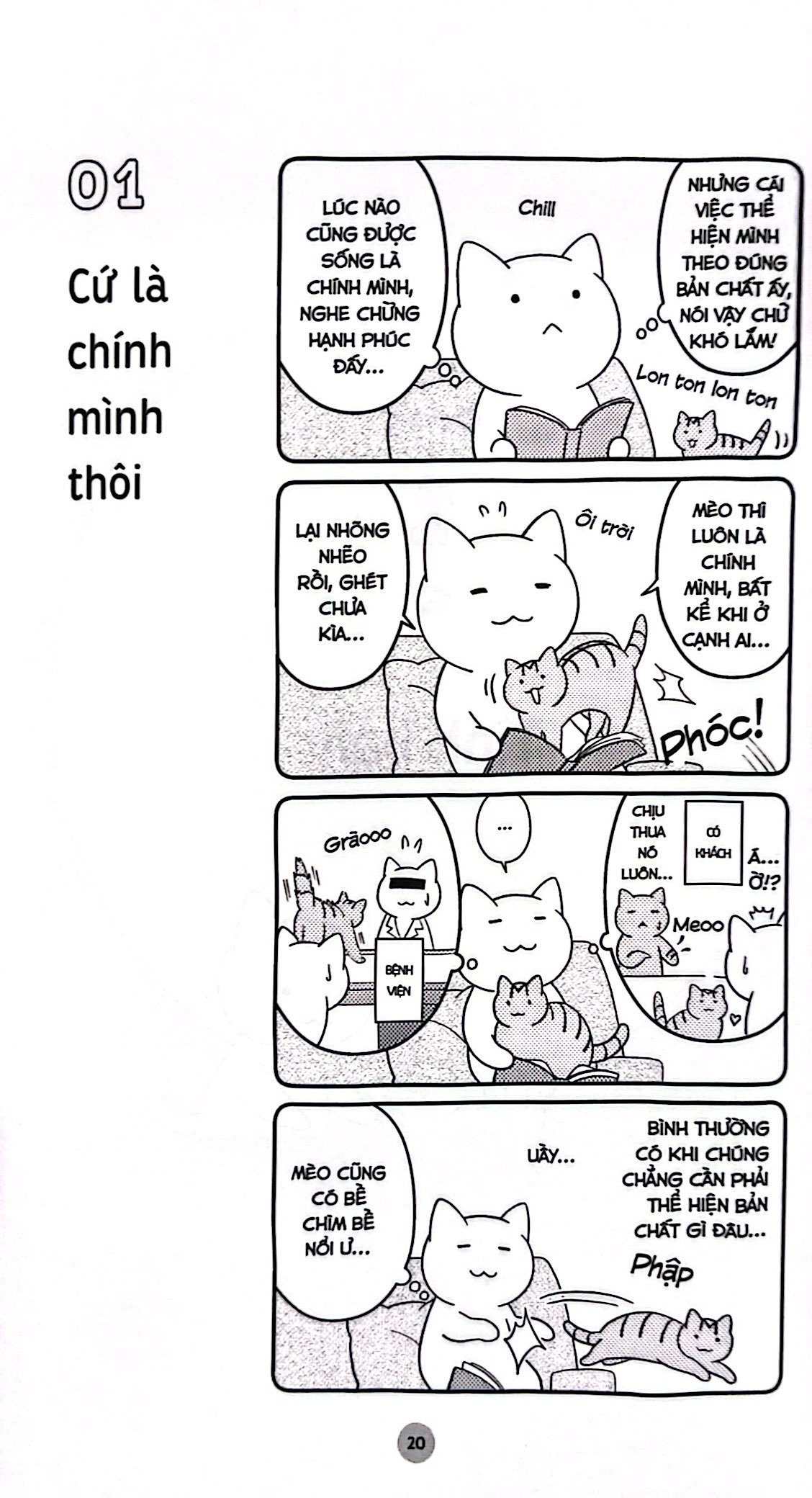 Sách Những bài học cuộc sống từ đám mèo nhà tôi