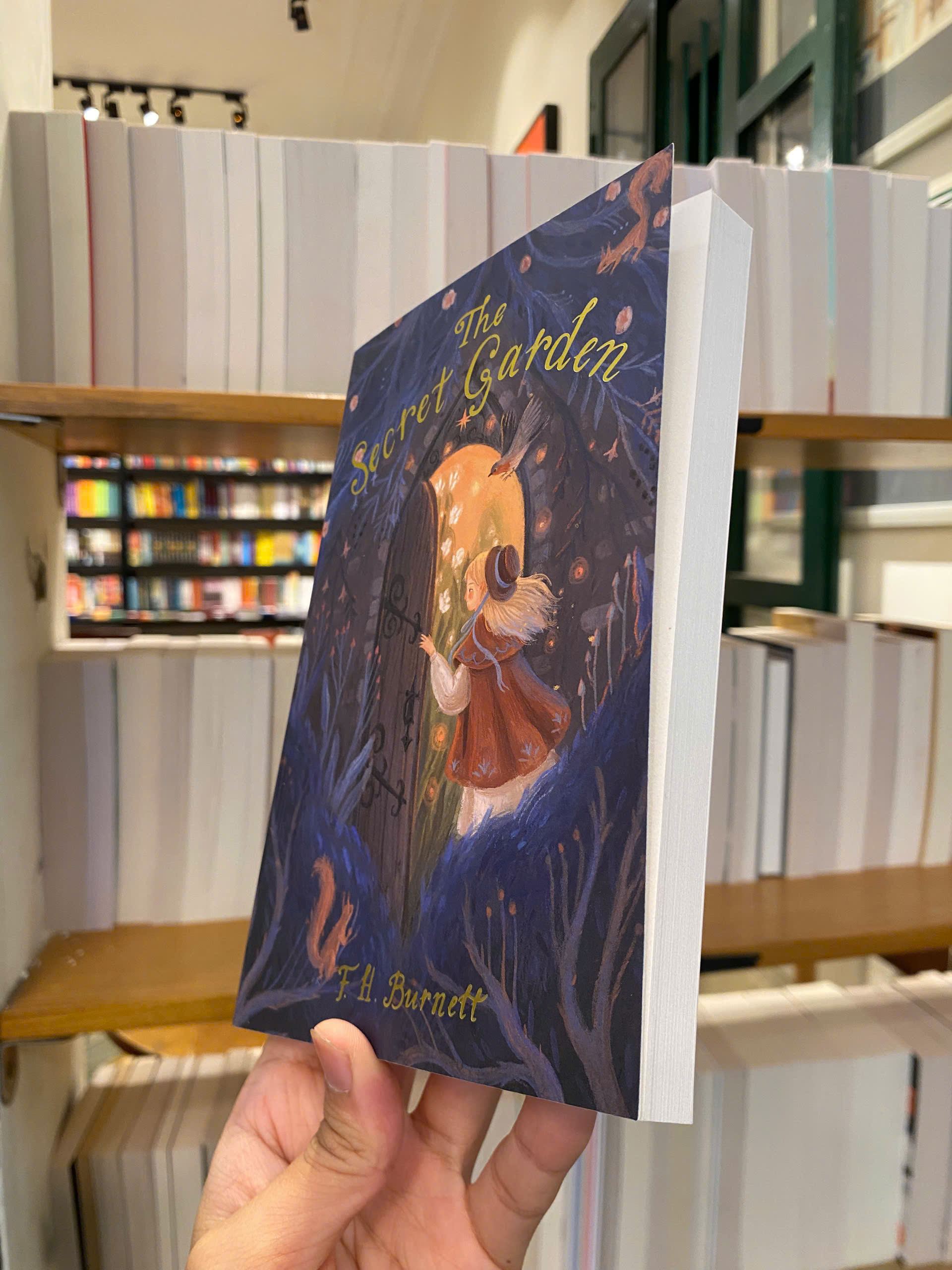 Sách - The Secret Garden by Frances Hodgson Burnett | Classic Literature / Ngoại văn Nhập khẩu