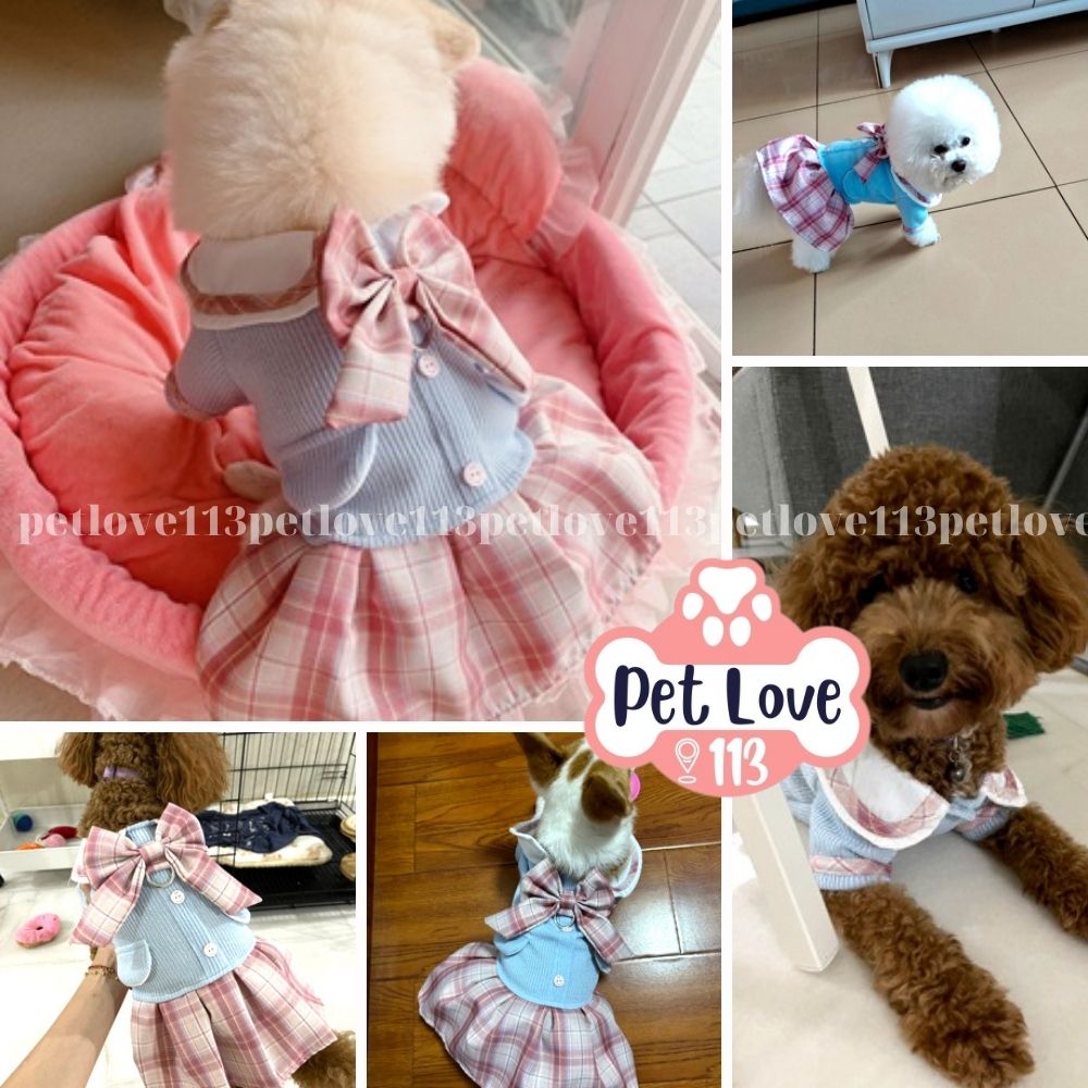 Đầm tiểu thư cho chó, mèo/ Đầm nơ váy xếp ly cực yêu cho bé từ 3-5kg - xanh dương phối hồng