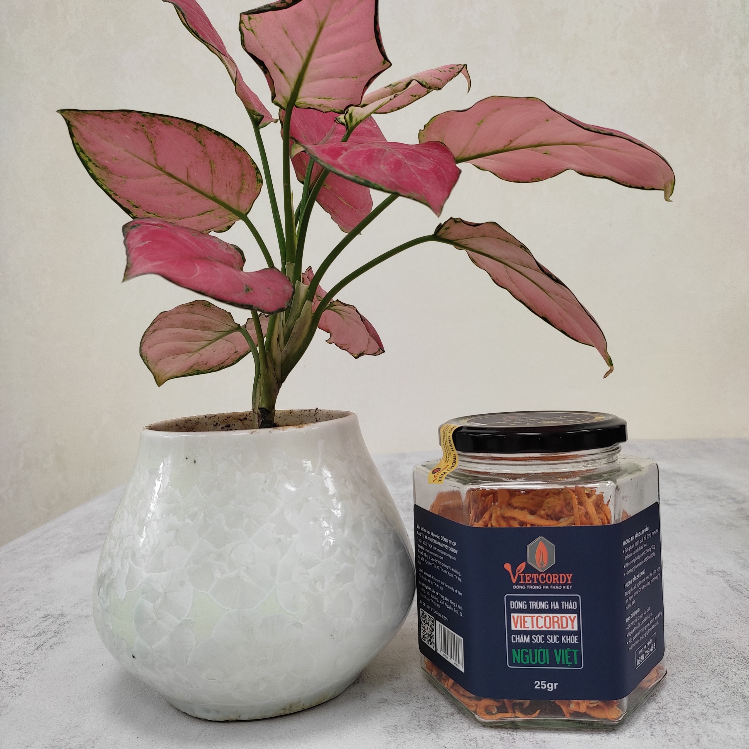 DEAL HOT { ĐÔNG TRÙNG HẠ THẢO CAO CẤP_2 HŨ * 25GR }