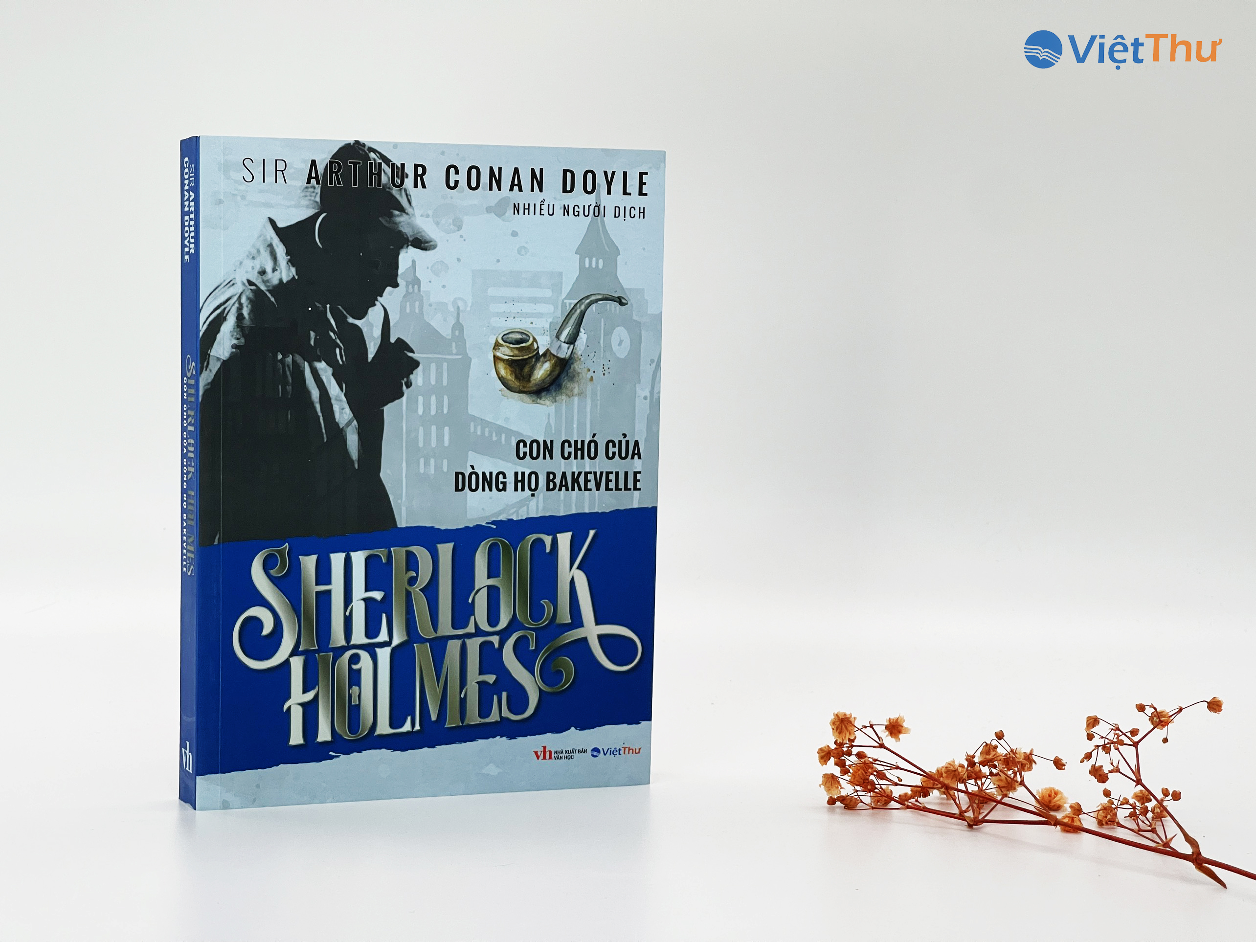 Sherlock Holmes - Con Chó Của Dòng Họ BAKJEVELLE (Bìa Mềm)