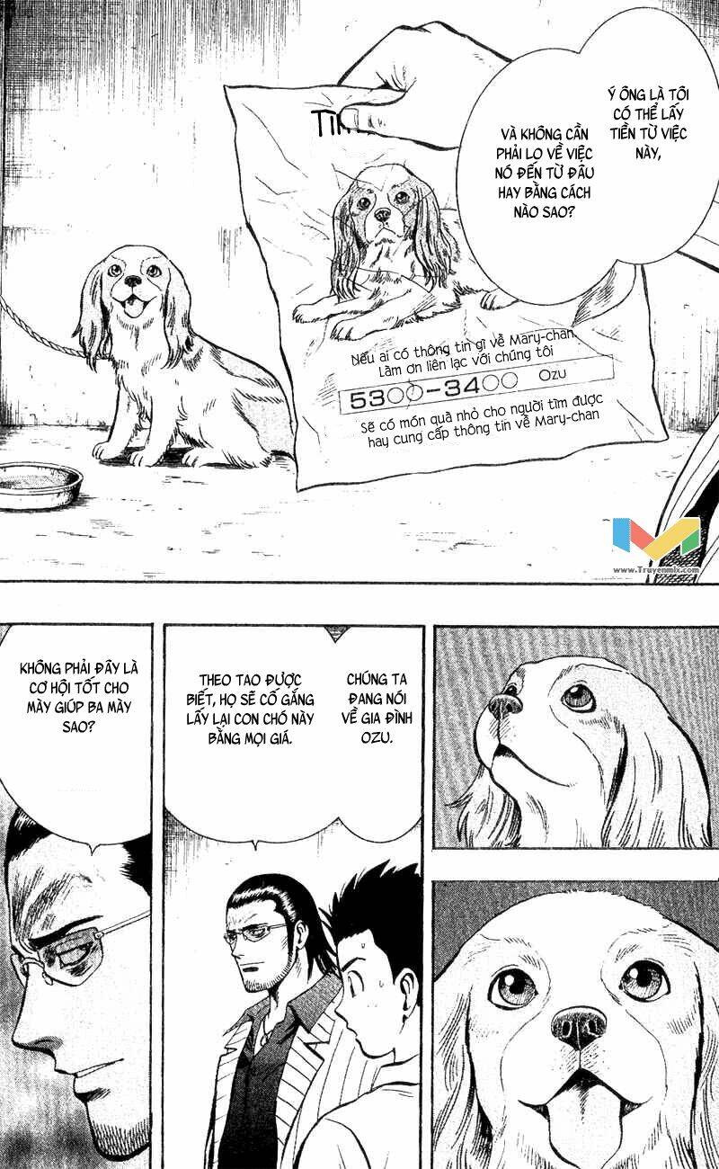 animal sense chapter 3 7